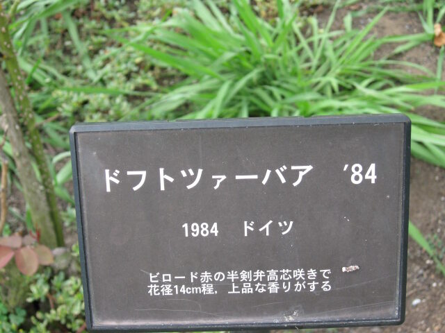 薔薇看板