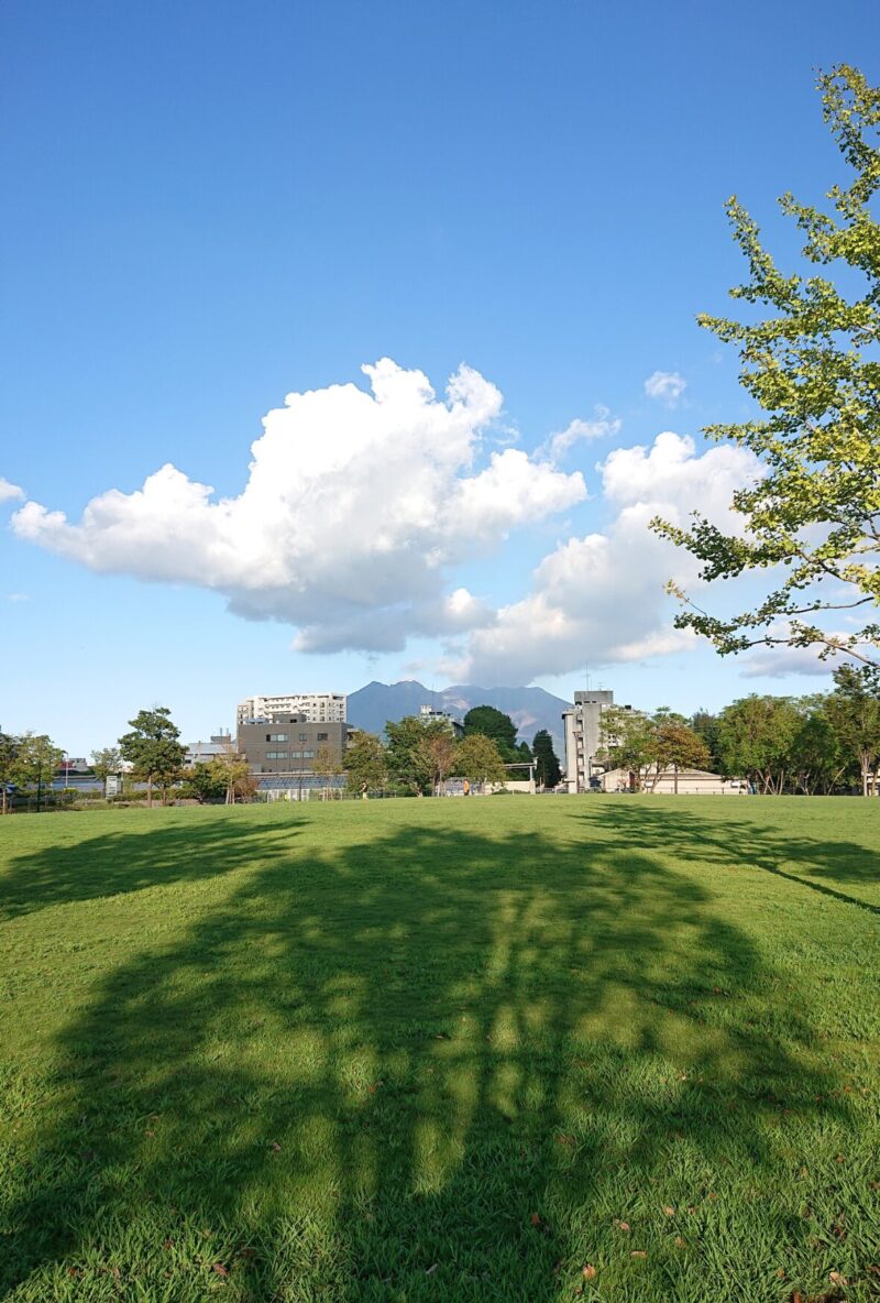 上荒田の杜公園から桜島を望む