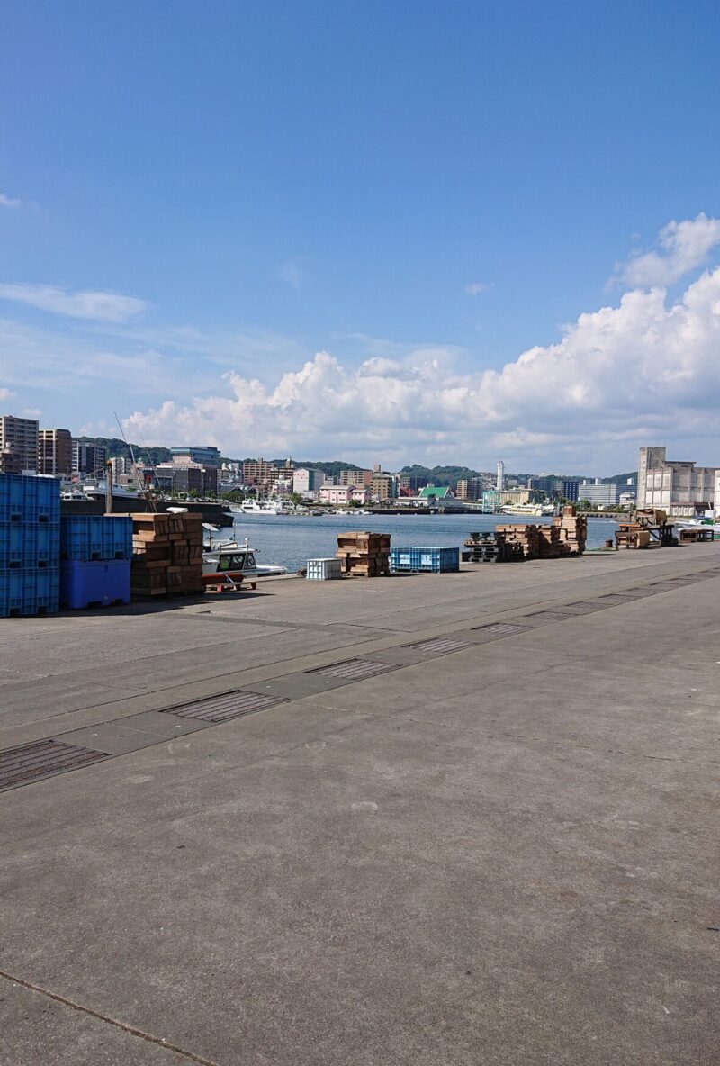 鹿児島魚類市場風景