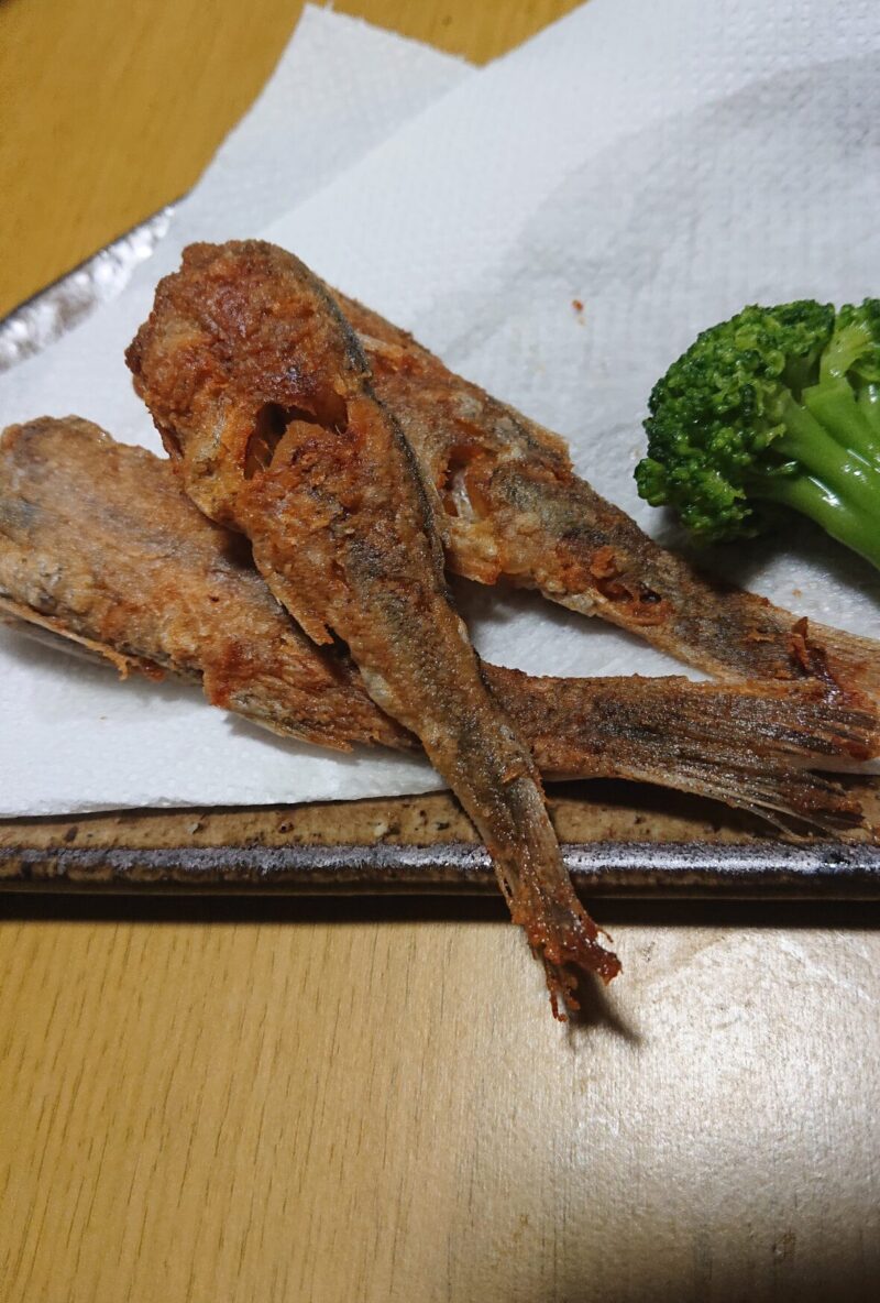 スミクイウオ　深海魚　鹿児島