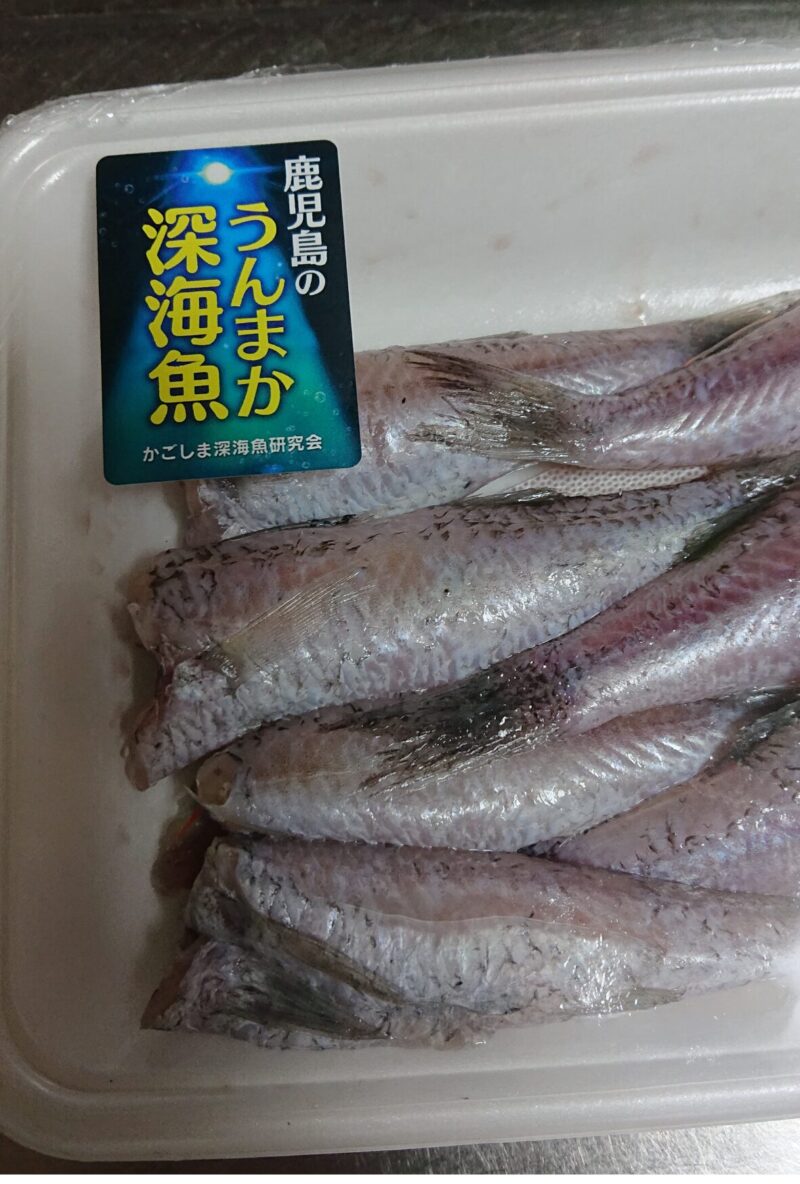 すみかくし　深海魚鹿児島